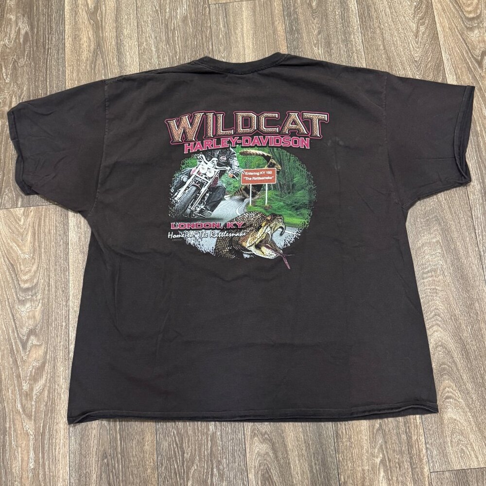Harley Davidson Shirt Men's 3XL Brown Wildcat Rattlesnake Kentucky Biker Grunge